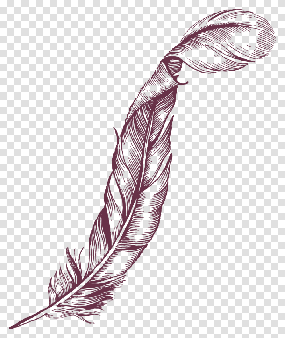 Hg Interiors Feather Purple Up Illustration, Plant, Bird, Animal, Root Transparent Png