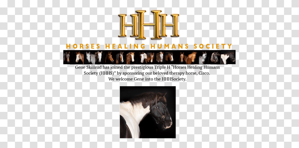 Hhh Society Horse Supplies, Mammal, Animal, Person, Human Transparent Png