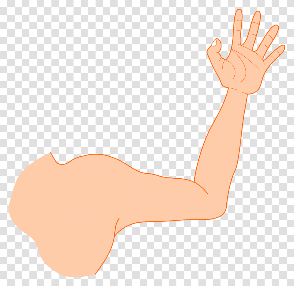 Hi Arm, Hand, Wrist, Finger Transparent Png
