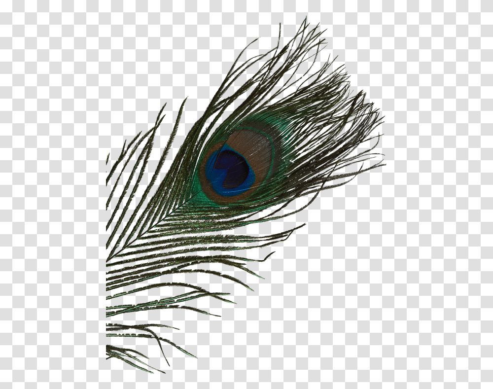 Hi Beautiful Im Areti Artseed Bird, Animal, Pattern, Fractal, Ornament Transparent Png