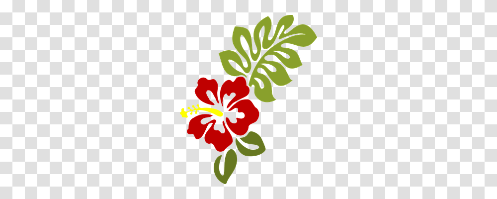 Hibiscus Nature, Plant, Flower, Blossom Transparent Png