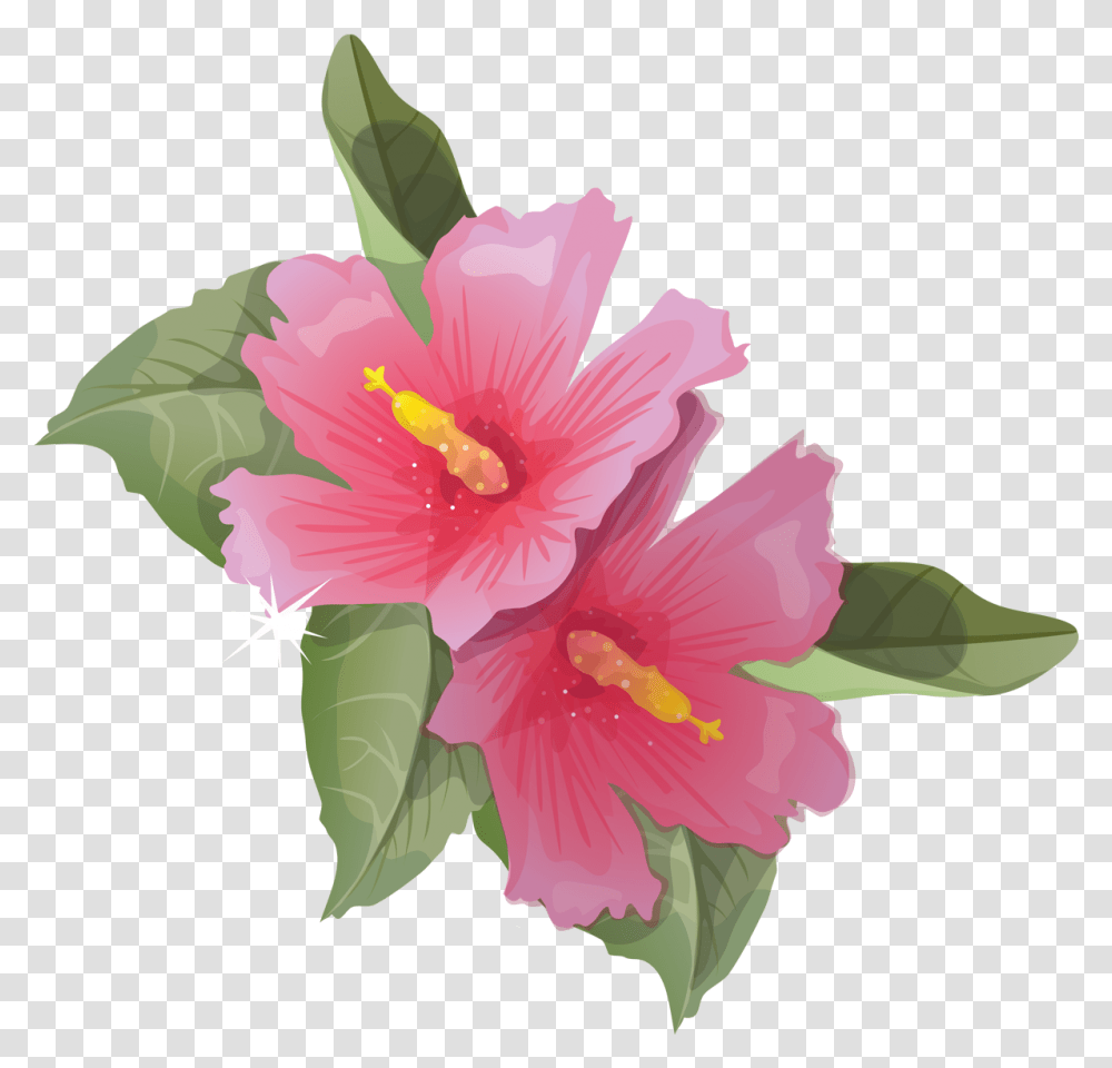 Hibiscus Animation Flower Clip Art Animated Flowers Images, Plant, Blossom, Pollen, Honey Bee Transparent Png