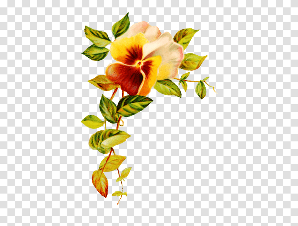 Hibiscus Border Clip Freeuse Download Flowers At Printable Greeting Card Template, Plant, Blossom, Petal, Pansy Transparent Png