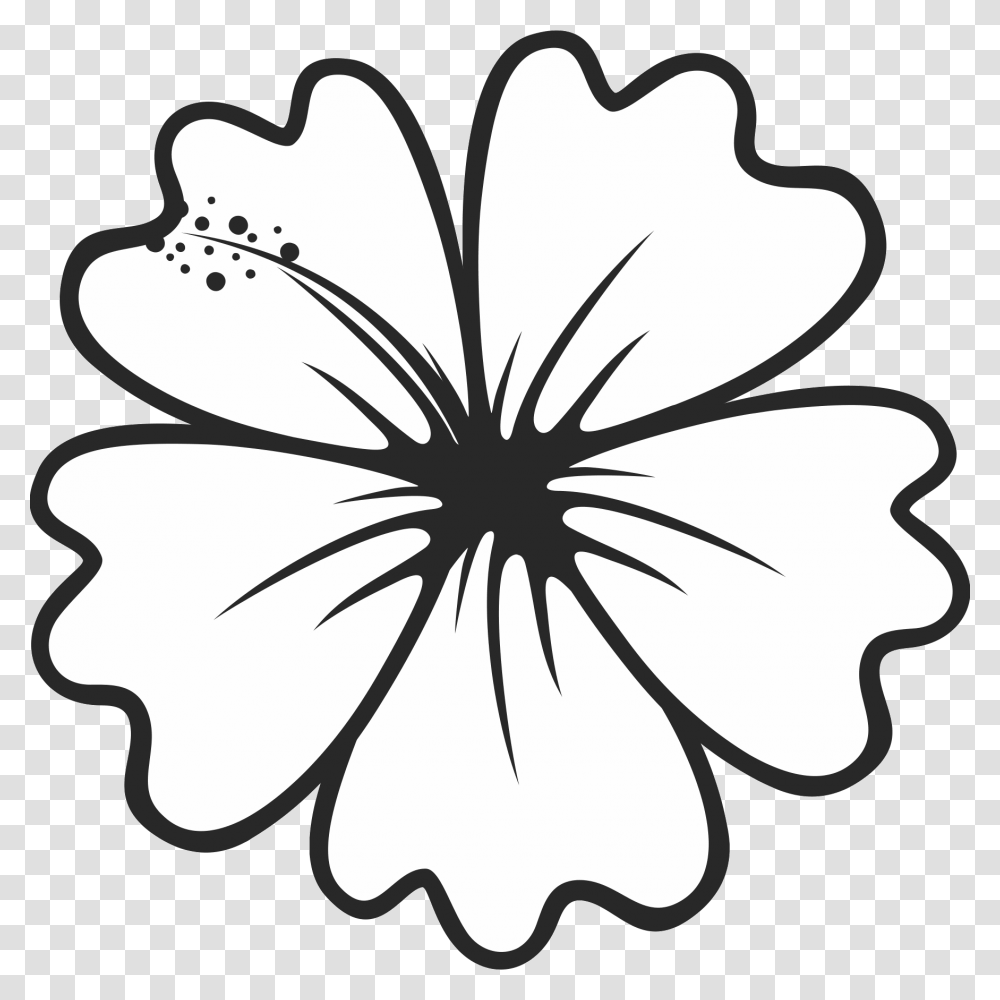 Hibiscus Border Outline Hibiscus Clipart Black And White, Plant, Flower, Blossom, Spider Transparent Png