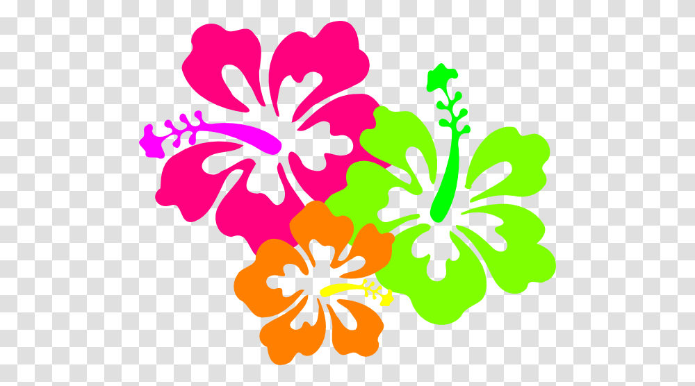 Hibiscus Candyleiscious Lei Clip Arts For Web, Flower, Plant, Blossom, Anther Transparent Png