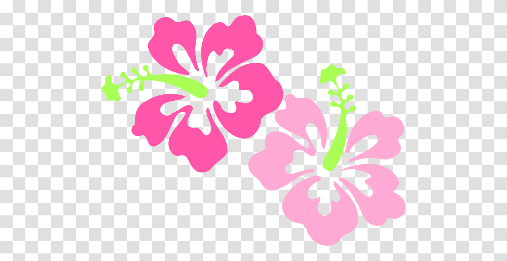 Hibiscus Clip Art, Flower, Plant, Blossom, Anther Transparent Png