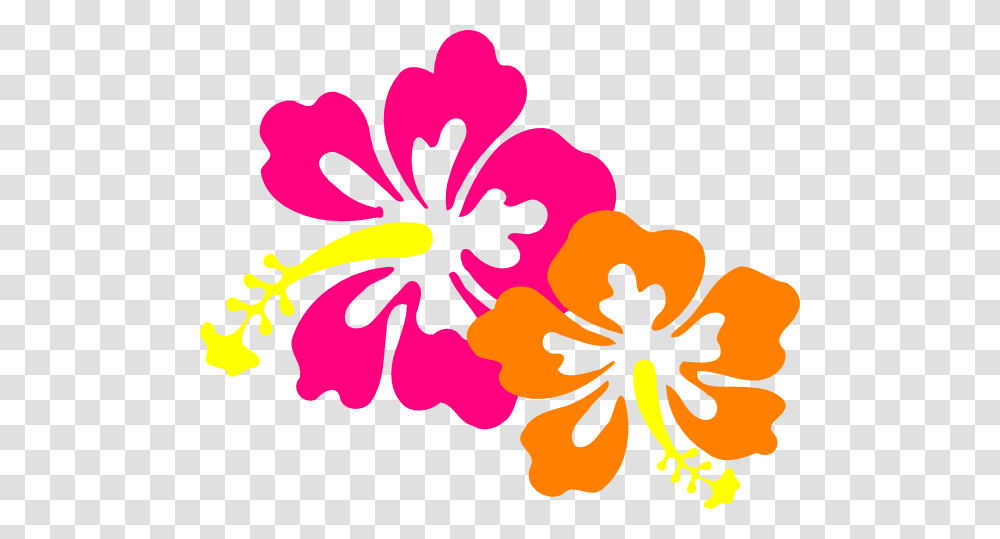 Hibiscus Clip Art, Flower, Plant, Blossom Transparent Png