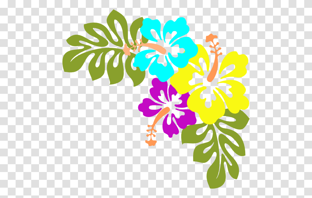 Hibiscus Clip Art, Plant, Floral Design, Pattern Transparent Png