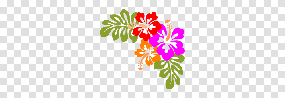 Hibiscus Clip Art, Plant, Floral Design, Pattern Transparent Png