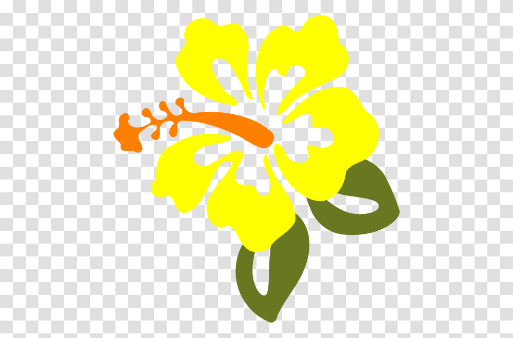 Hibiscus Clip Art, Plant, Flower, Blossom Transparent Png