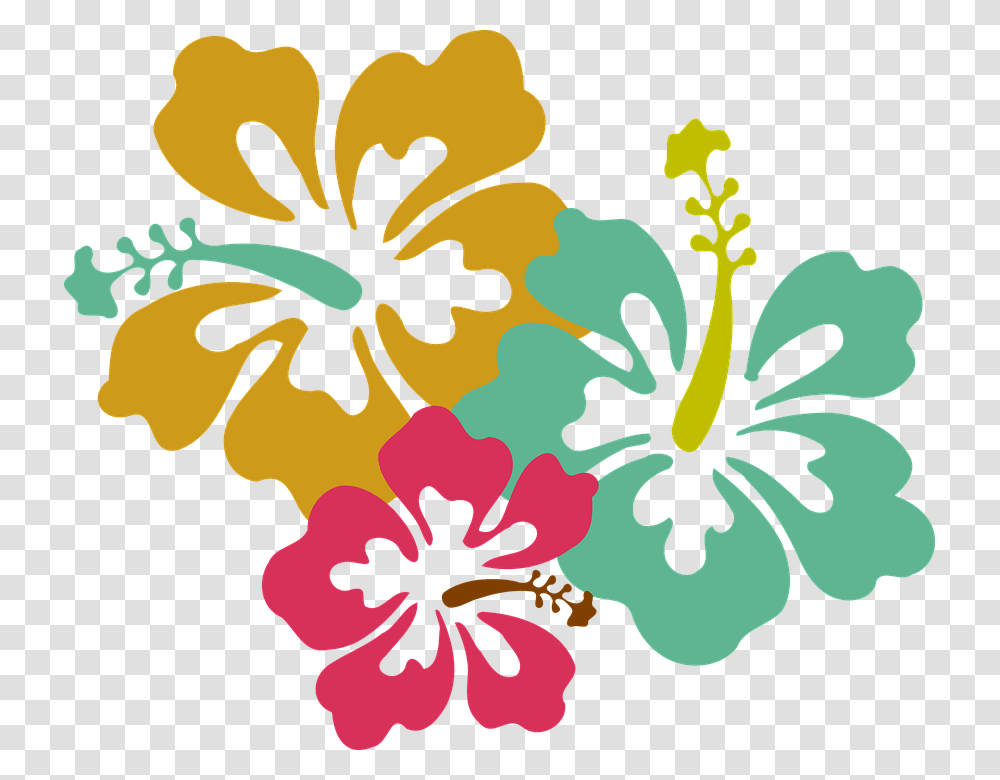 Hibiscus Clip Art, Plant, Flower, Blossom Transparent Png