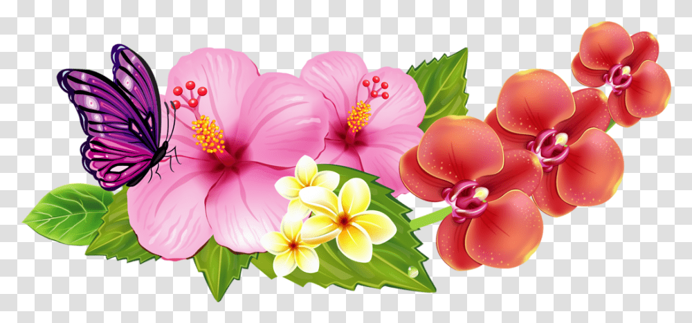 Hibiscus Clipart Flower Bali Border Hawaiian Flowers Clip Art, Plant, Blossom, Graphics, Anther Transparent Png
