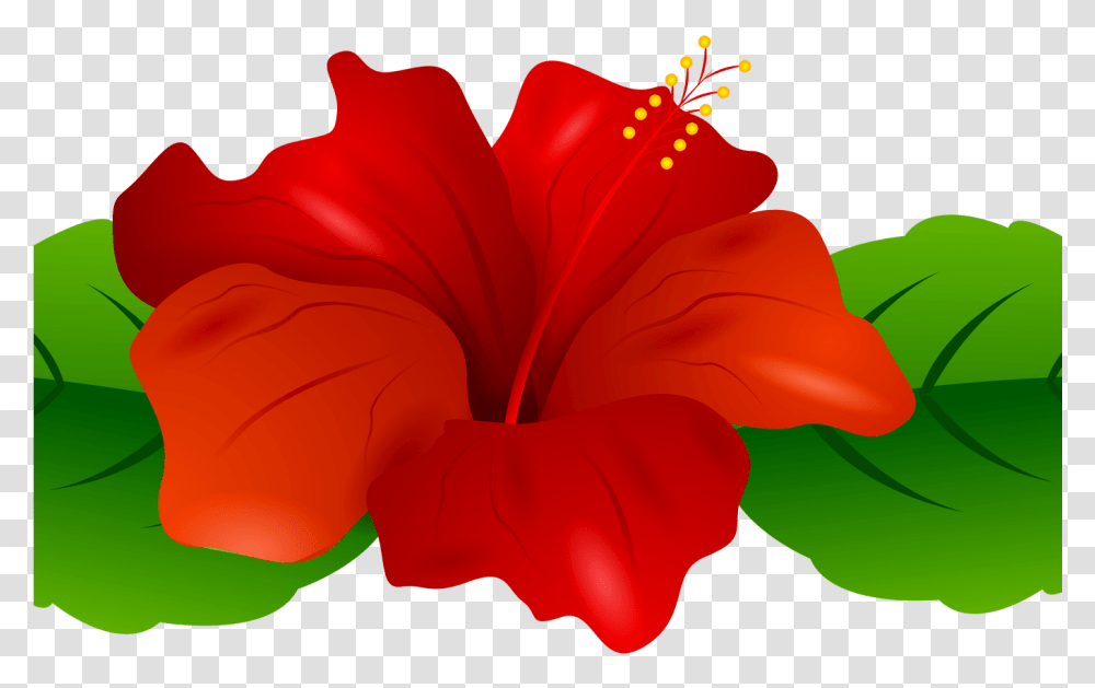 Hibiscus Clipart Flower Boarder Hibiscus Flower Boarder Portable Network Graphics, Plant, Blossom, Petal, Rose Transparent Png