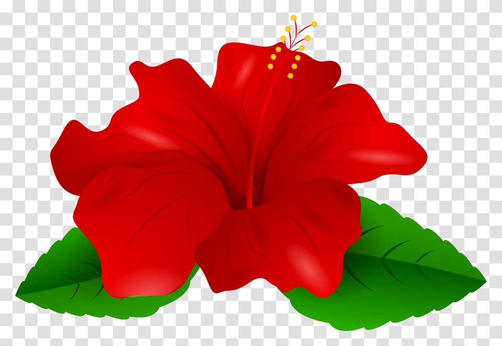 Hibiscus Clipart Free Red Hibiscus Flower Clipart, Plant, Blossom, Petal, Rose Transparent Png