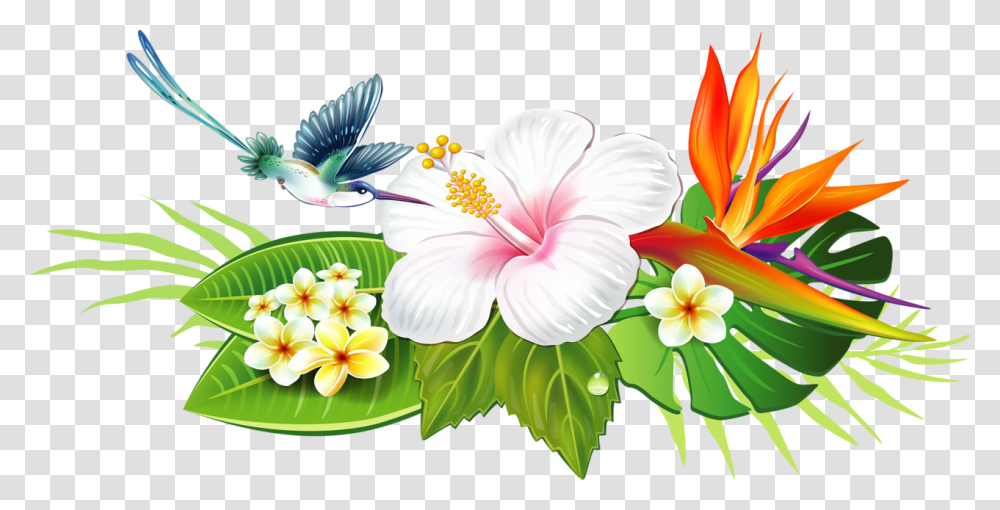 Hibiscus Clipart Lei Flower Tropical Flowers Drawing, Plant, Blossom, Anther, Petal Transparent Png