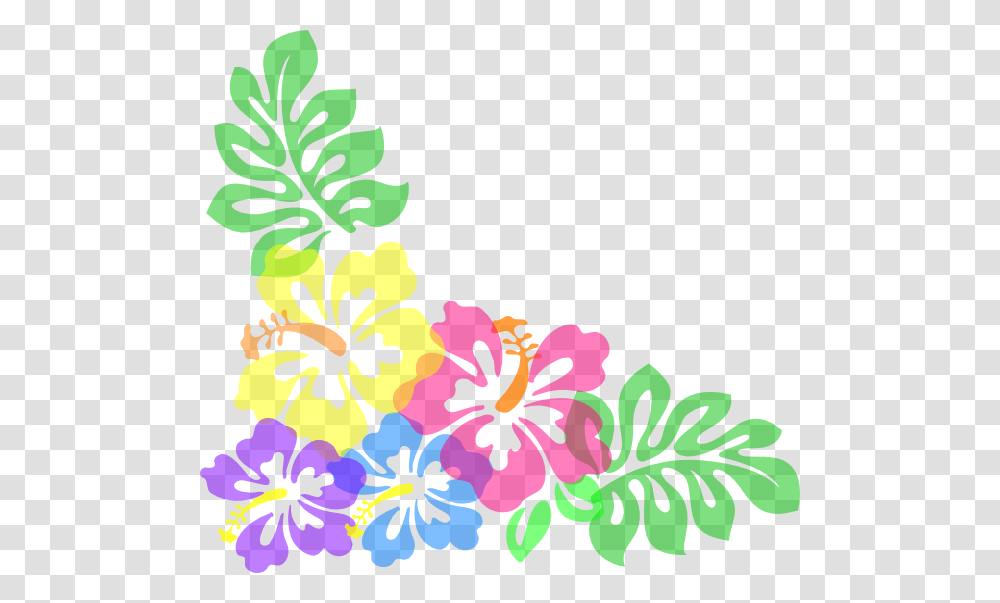 Hibiscus Clipart, Plant, Flower, Blossom Transparent Png