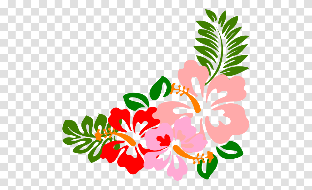 Hibiscus Clipart, Plant, Flower, Blossom Transparent Png