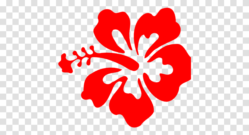Hibiscus Clipart Red Hawaiian Flower Md Mba Eugene Rhee Md Urology, Plant, Blossom, Petal Transparent Png