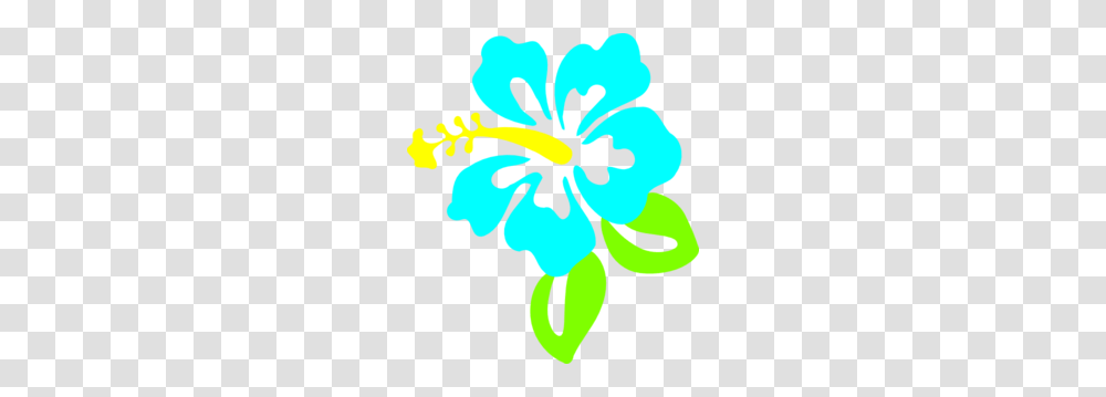 Hibiscus Clipart Teal, Plant, Flower, Blossom Transparent Png