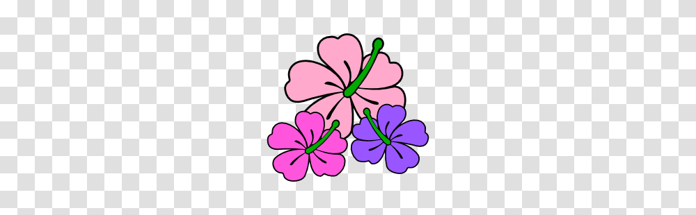 Hibiscus Clipart Themed, Plant, Geranium, Flower, Blossom Transparent Png