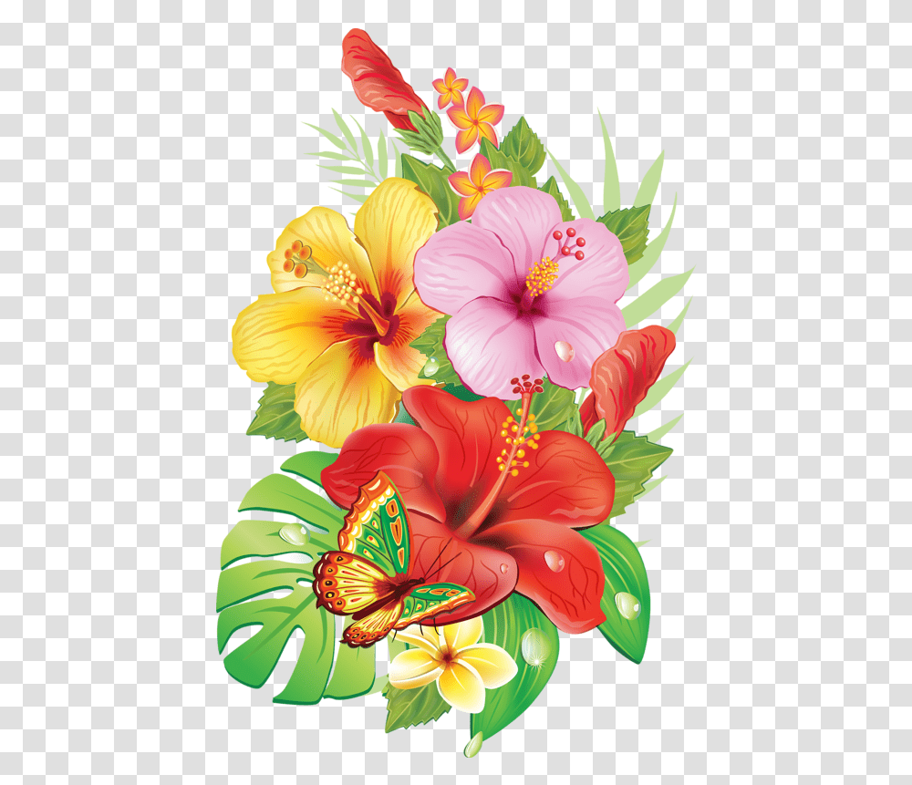 Hibiscus Clipart Tropical Vine Hibiscus Flower Drawing, Plant, Blossom, Graphics, Floral Design Transparent Png