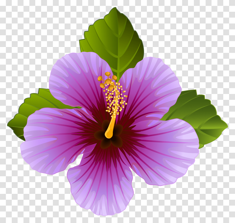 Hibiscus Clipart Violet Flower Purple Flower Clipart Transparent Png