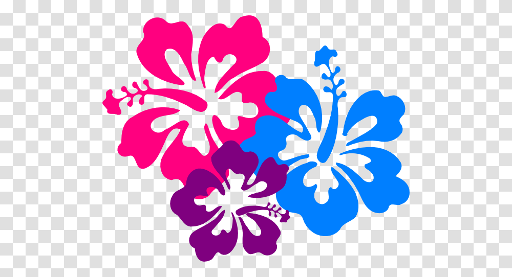 Hibiscus Cliparts, Flower, Plant, Blossom, Painting Transparent Png