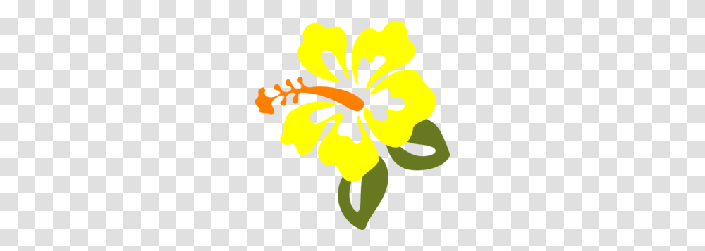 Hibiscus Cliparts, Plant, Flower, Blossom Transparent Png