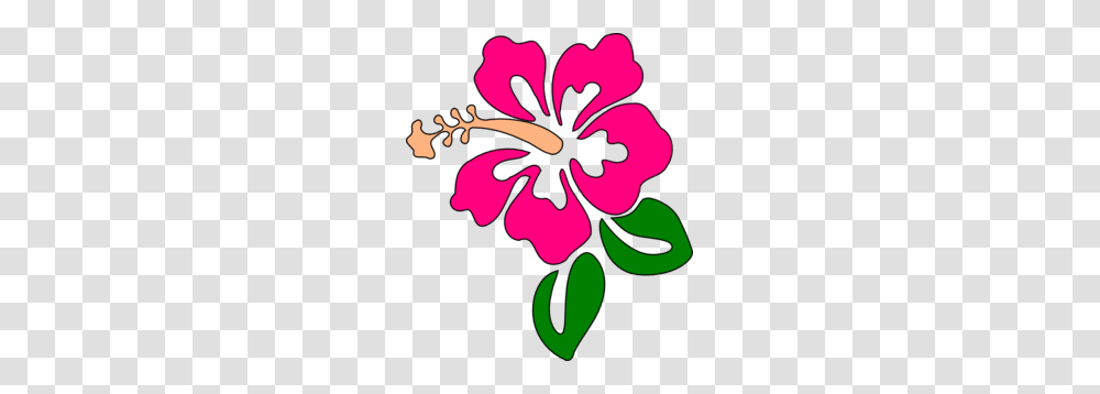 Hibiscus Con Hojas Clip Art, Flower, Plant, Blossom, Poster Transparent Png