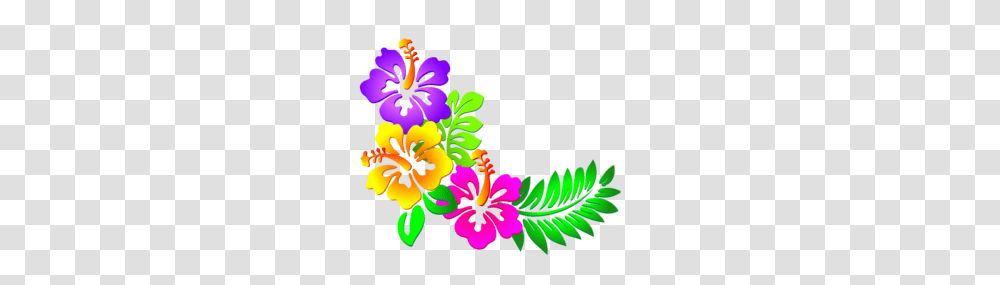 Hibiscus Corner Clip Art, Plant, Floral Design, Pattern Transparent Png