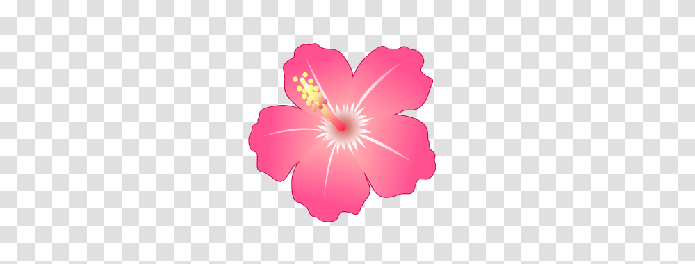 Hibiscus Emojidex, Flower, Plant, Blossom, Rose Transparent Png