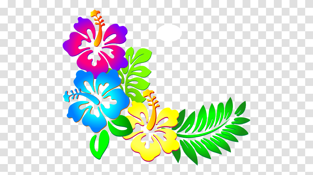 Hibiscus Flower Border Hibiscus Flowers Clip Art, Graphics, Floral Design, Pattern, Plant Transparent Png