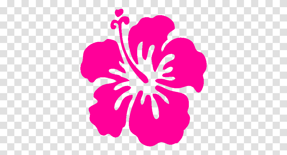 Hibiscus Flower Cartoon 19507 Hd Hawaiian Flower Clip Art, Plant, Blossom,  Transparent Png
