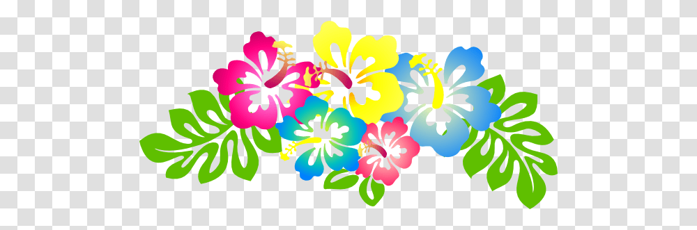 Hibiscus Flower Clip Art Clip Art, Plant, Blossom, Anther Transparent Png