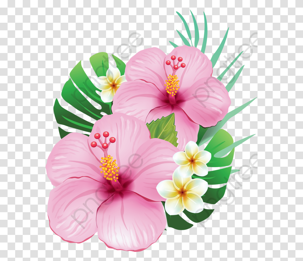 Hibiscus Flower Clipart Realistic Tropical Flowers, Plant, Blossom, Pollen, Anther Transparent Png