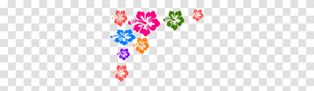 Hibiscus Flower Color Clip Art, Plant, Blossom, Geranium, Poster Transparent Png