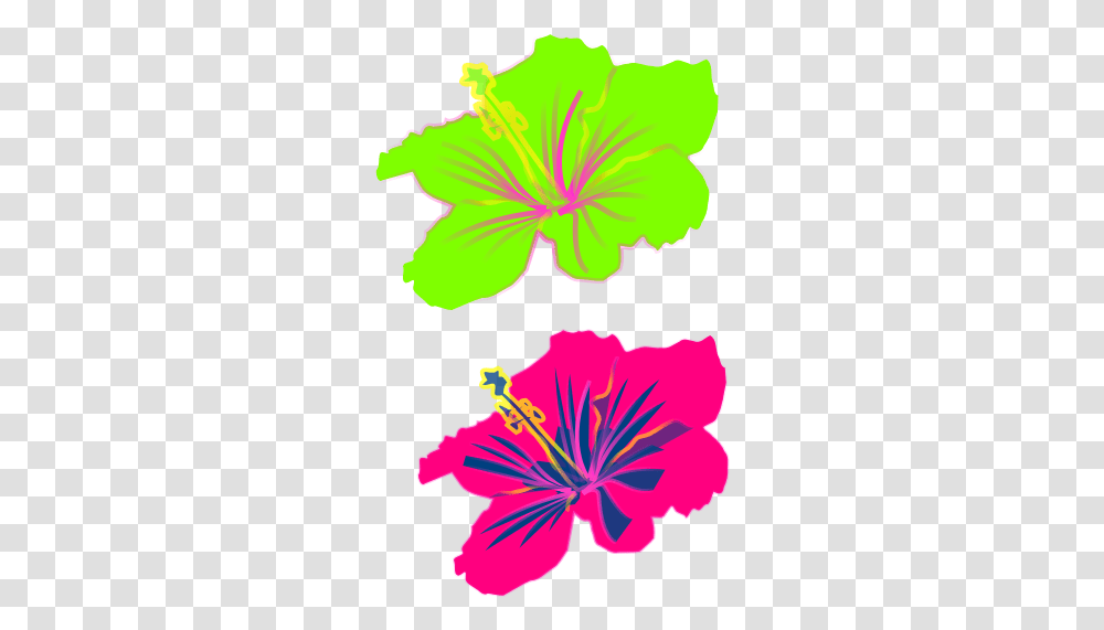 Hibiscus Flower Hibiscus Clip Art, Plant, Blossom, Petal, Anther Transparent Png