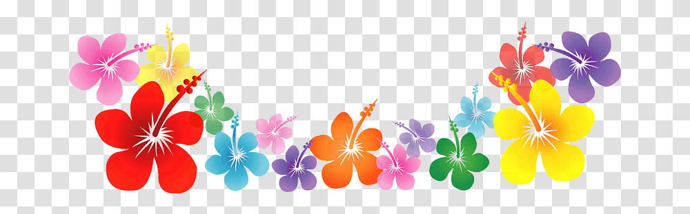 Hibiscus Flower Line Clipart, Floral Design, Pattern Transparent Png