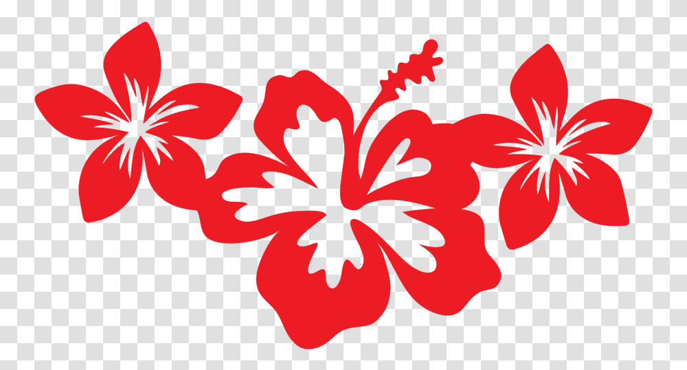 Hibiscus, Flower, Plant, Blossom, Petal Transparent Png