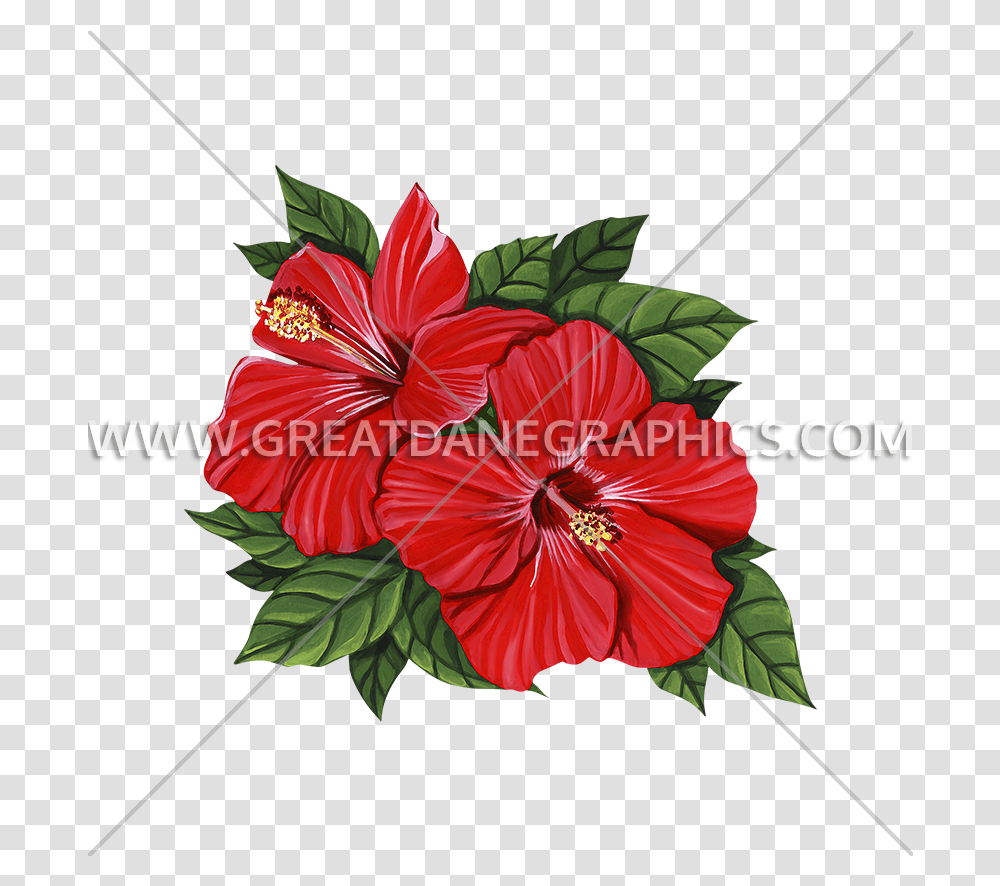Hibiscus Flower Production Ready Artwork For T Shirt Printing Chinese Hibiscus, Plant, Blossom, Rose Transparent Png