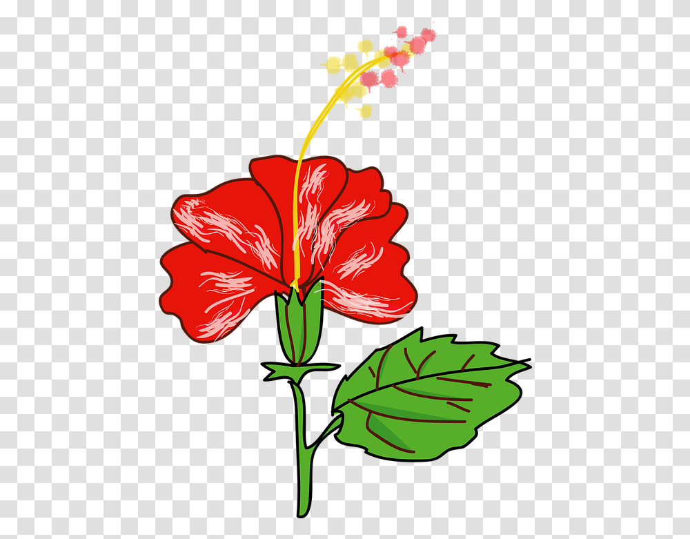 Hibiscus Flower Red Free Vector Graphic On Pixabay Gumamela Clipart, Plant, Blossom, Petal, Geranium Transparent Png