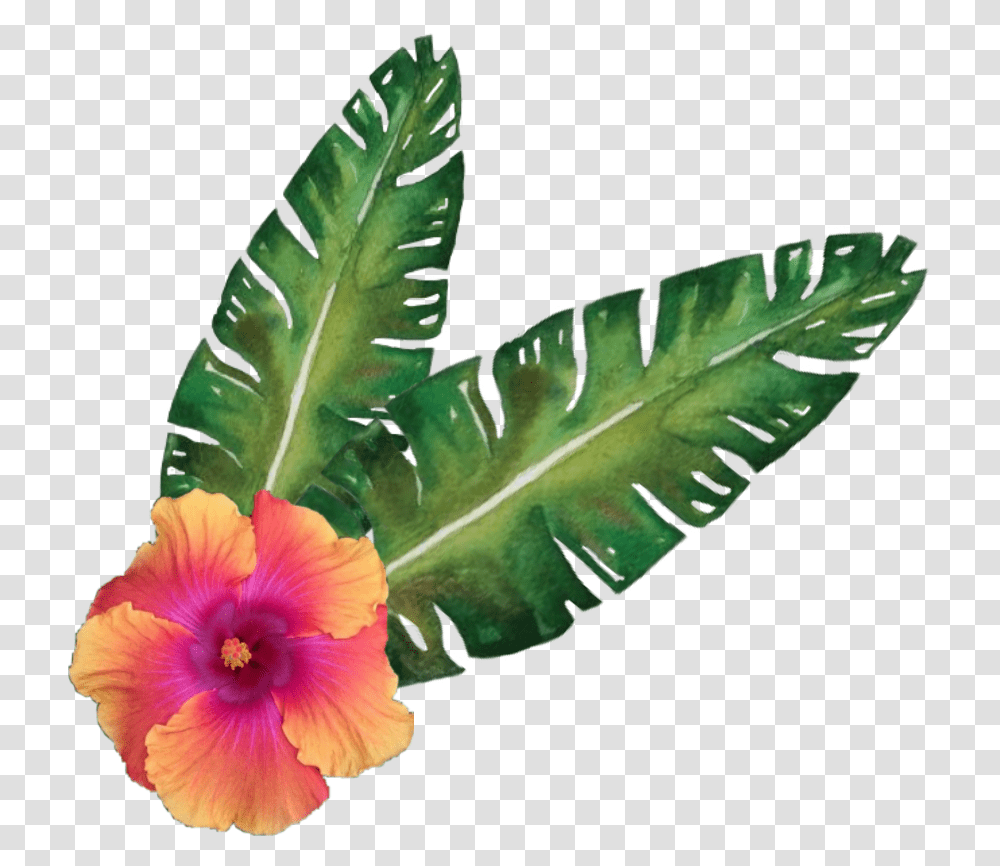 Hibiscus Flower Tropicalflower Sticker Shoeblackplant, Leaf, Blossom, Petal, Anther Transparent Png