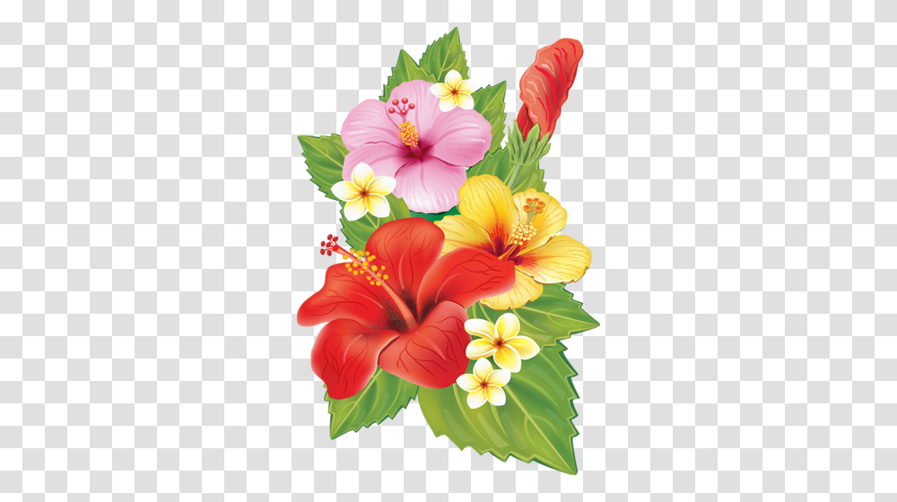 Hibiscus Garden Clipart Explore Pictures, Flower, Plant, Blossom, Anther Transparent Png