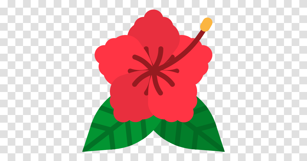 Hibiscus Hibiscus Icon Hd, Plant, Flower, Blossom, Rose Transparent Png