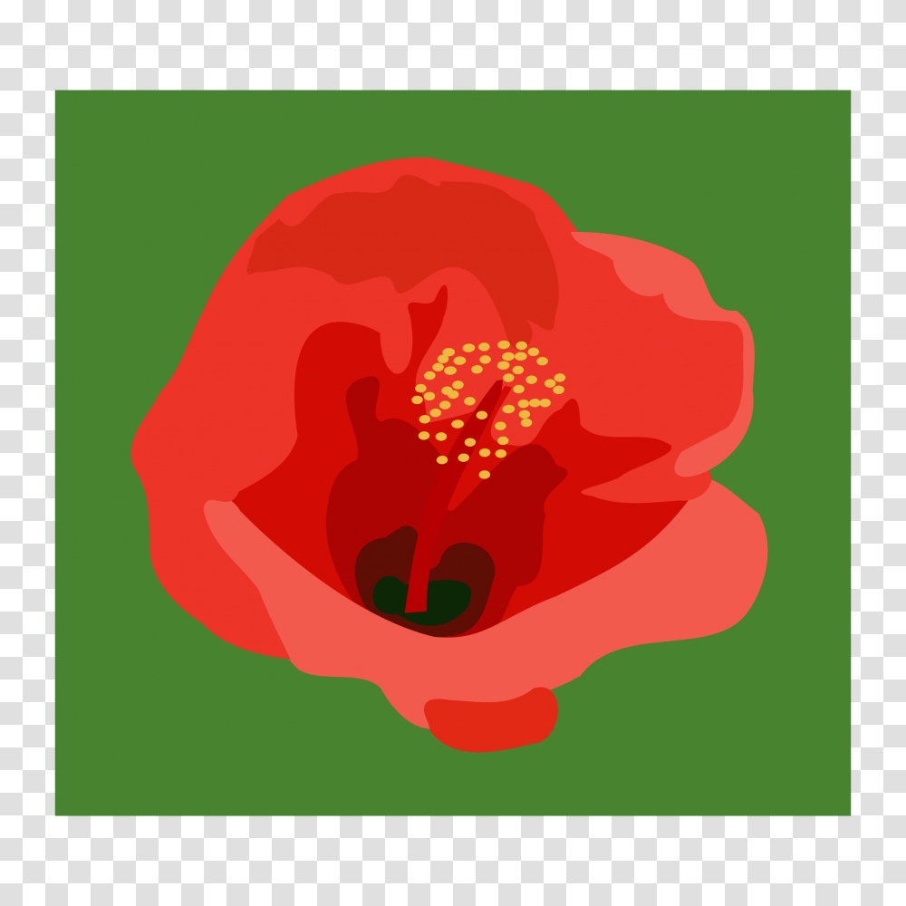 Hibiscus Icons, Plant, Flower, Anther, Poppy Transparent Png