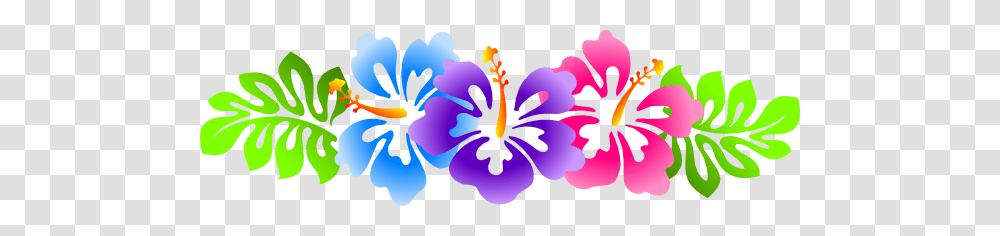Hibiscus Line Border Clip Art, Plant, Flower, Blossom, Iris Transparent Png