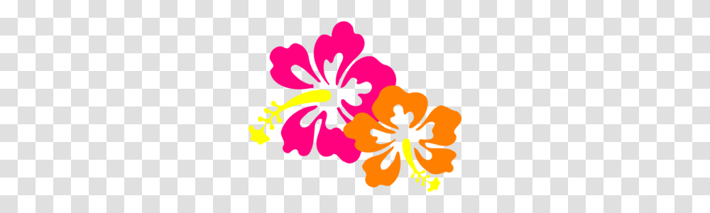 Hibiscus Md, Flower, Plant, Blossom, Anther Transparent Png