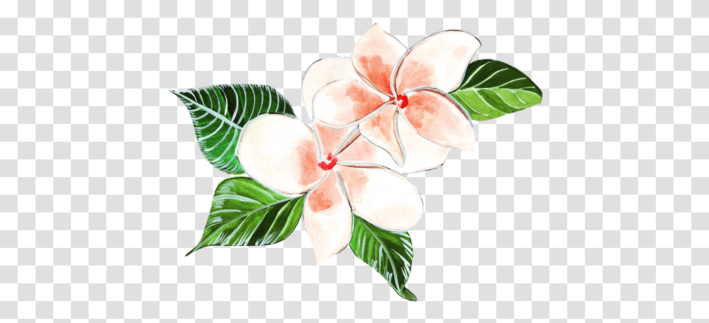 Hibiscus Photos By Canva Clip Art, Floral Design, Pattern, Graphics, Plant Transparent Png