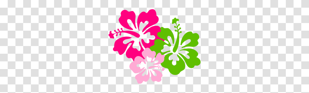 Hibiscus Pink Green Clip Art, Plant, Flower, Blossom, Anther Transparent Png