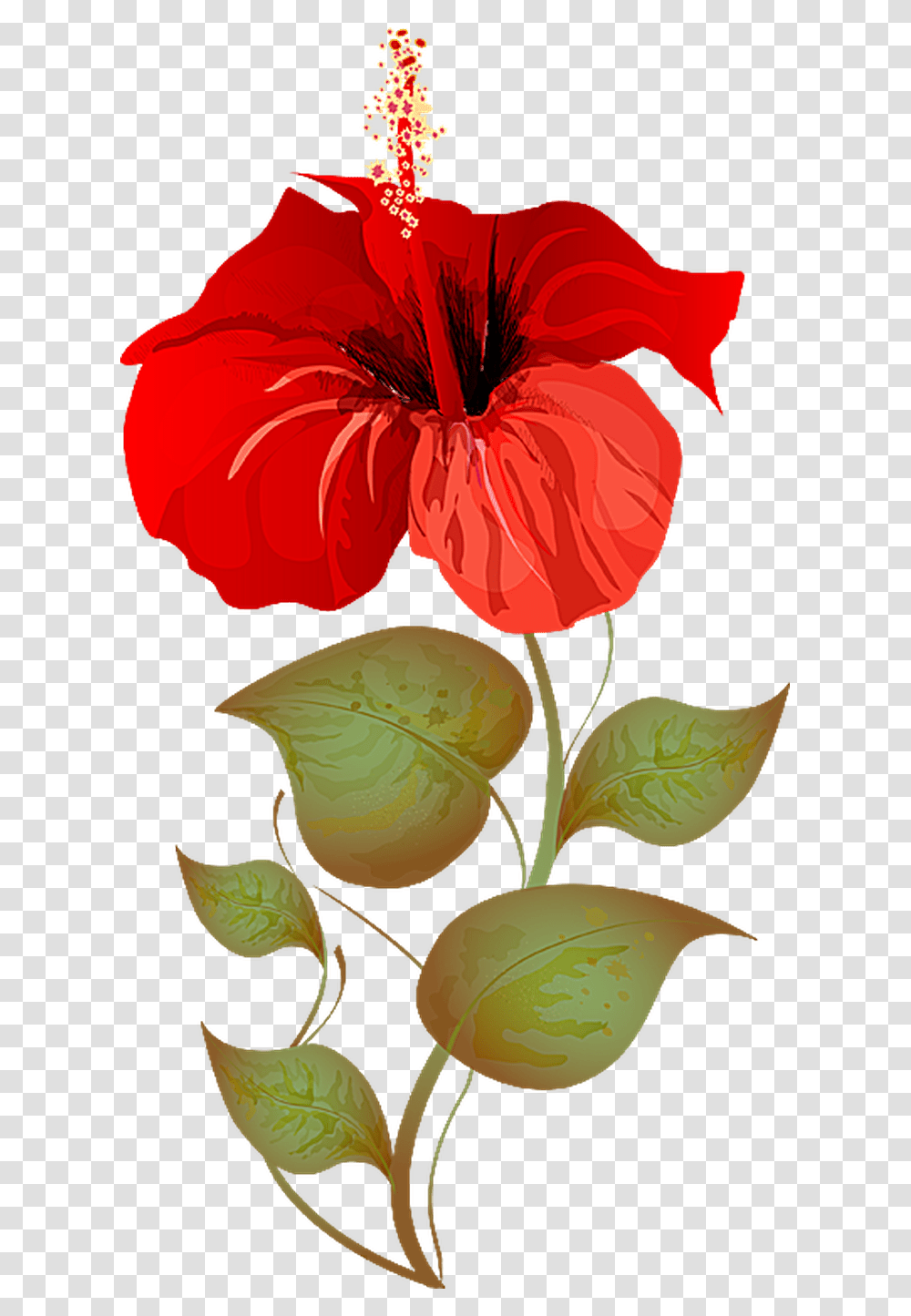 Hibiscus Plant Clipart, Flower, Blossom, Petal, Anther Transparent Png